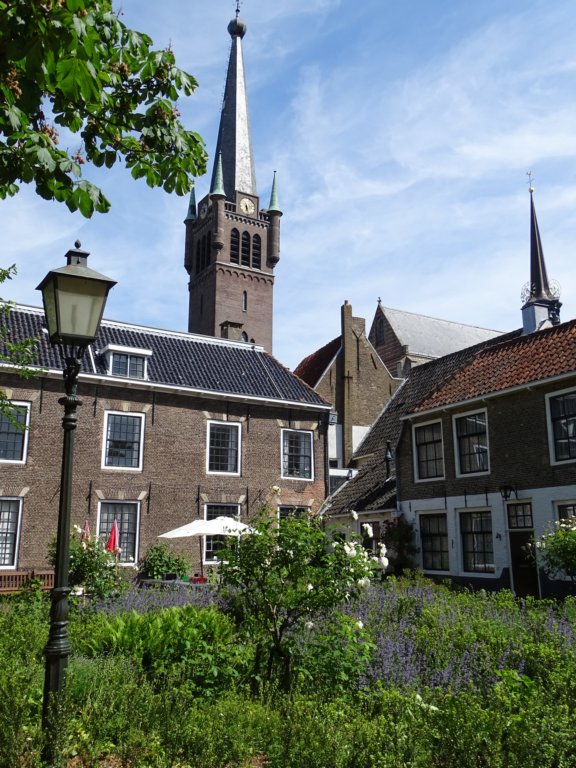 dsc31740.jpg