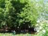 dsc31742_small.jpg