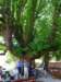 dsc31751_small.jpg