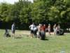 dsc50727_small.jpg