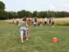 dsc50847_small.jpg