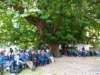 dsc52644_small.jpg